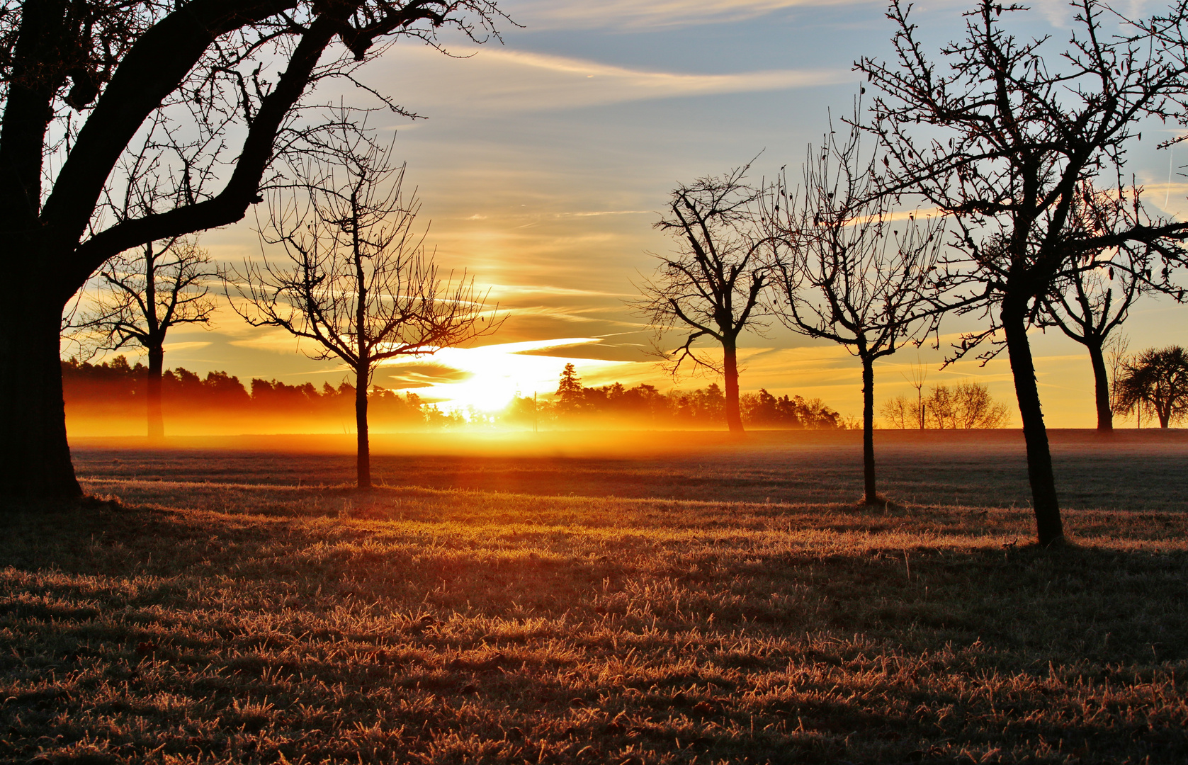 Farbiger,frostiger Raureifmorgen mit Nebel