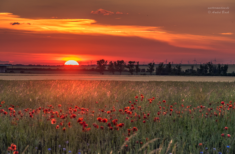 farbintensiver Sonnenuntergang