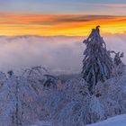 farbintensiver Sonnenuntergang