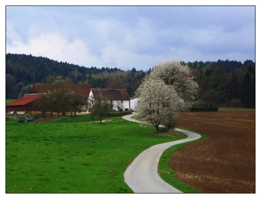 Farbkasten der Natur IV