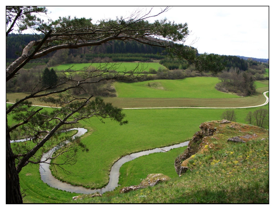 Farbkasten der Natur V