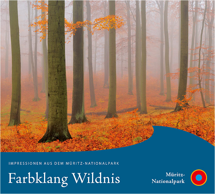 Farbklang Wildnis