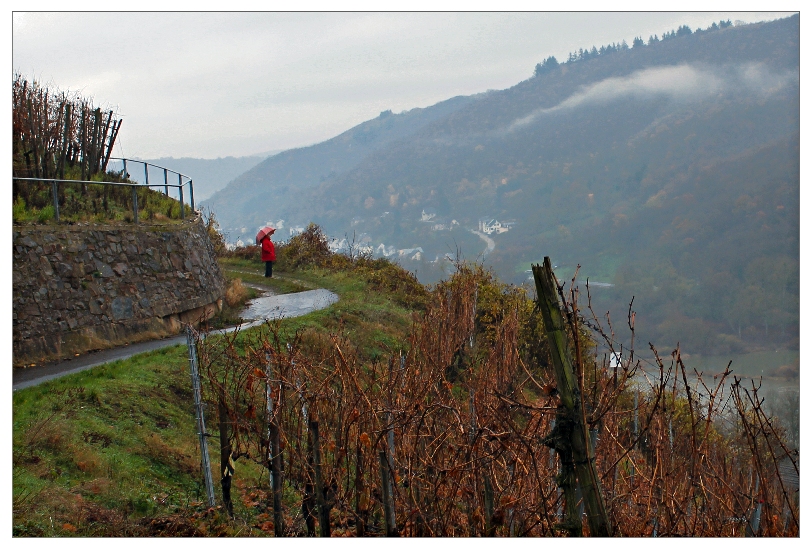 Farbklecks im Regen- und Nebelgrau