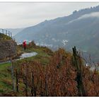 Farbklecks im Regen- und Nebelgrau