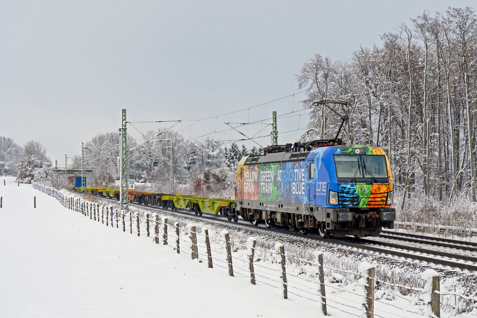 Farbklecks im Schnee