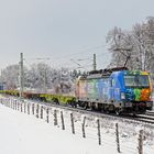 Farbklecks im Schnee