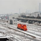 Farbklecks im Schnee