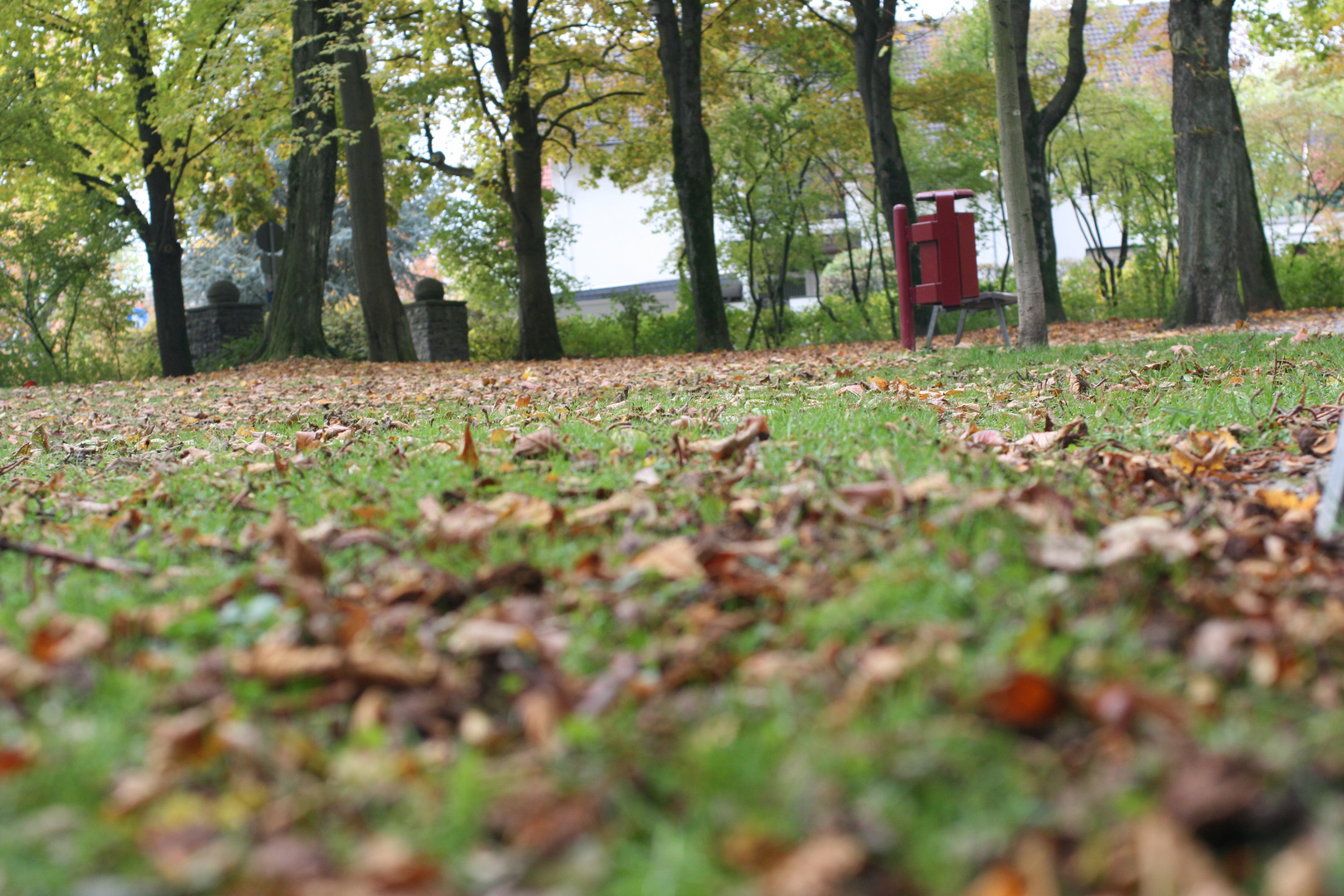 Farbklecks in der bunten Herbstwelt