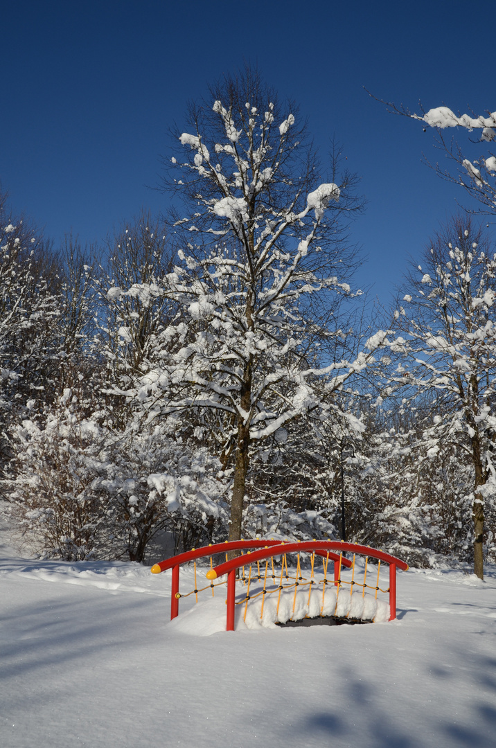 Farbklecks in der Winterlandschaft