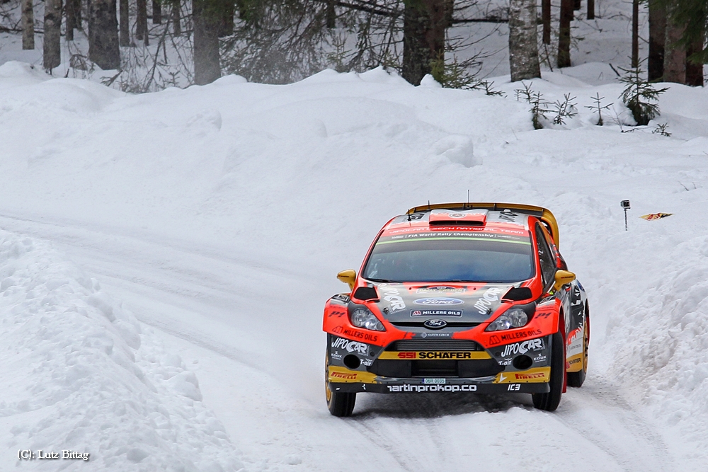 Farbkontrast im Schnee