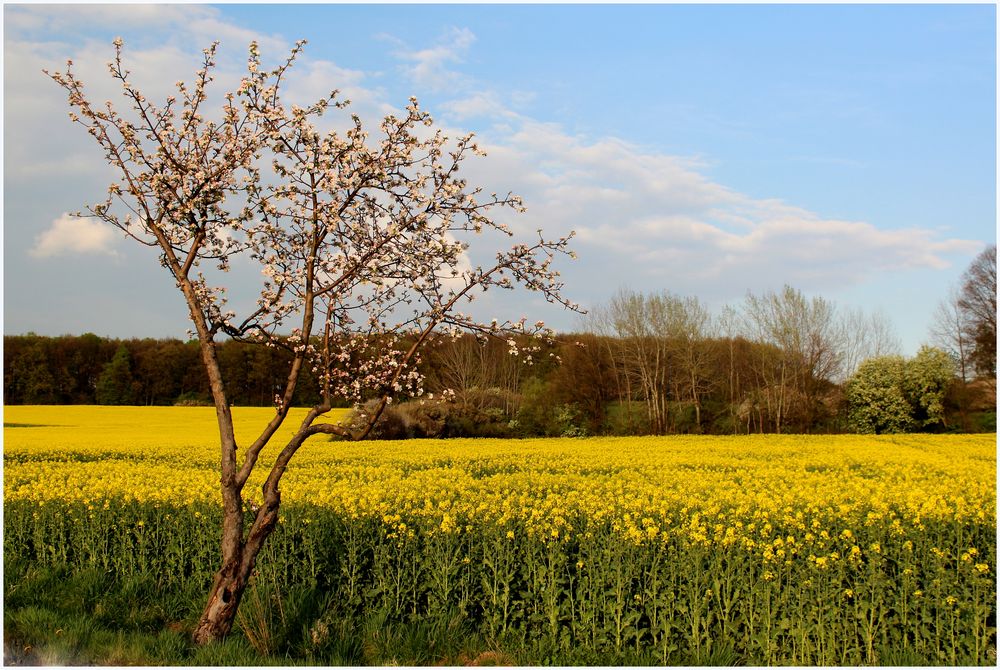 Farbkontraste im April