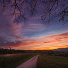 Farbkünstler Herbst