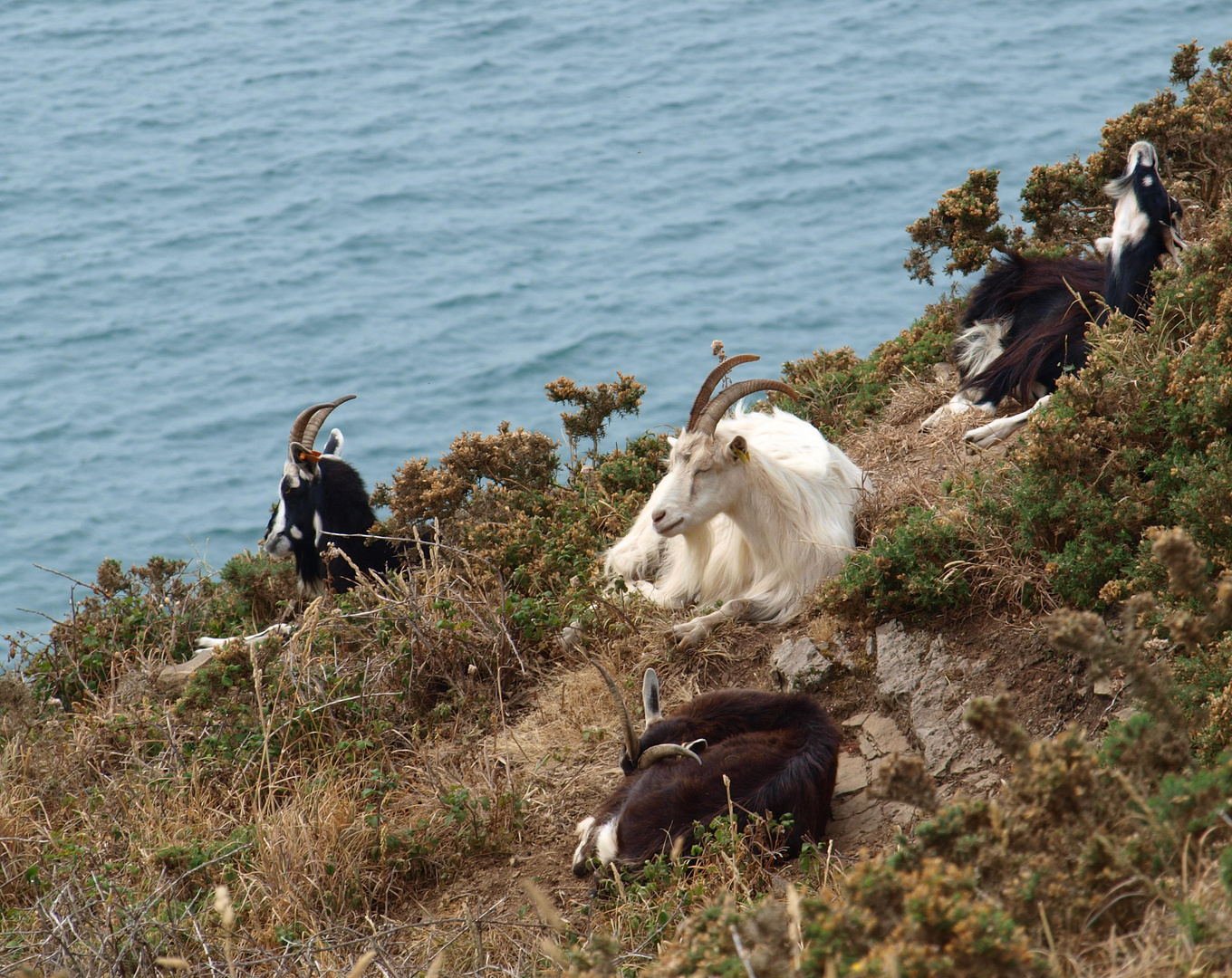 Farblich sortiert am Cap de Carteret