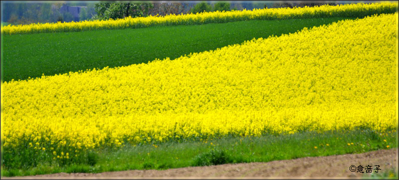 Farbliche Geometrie in der Natur...