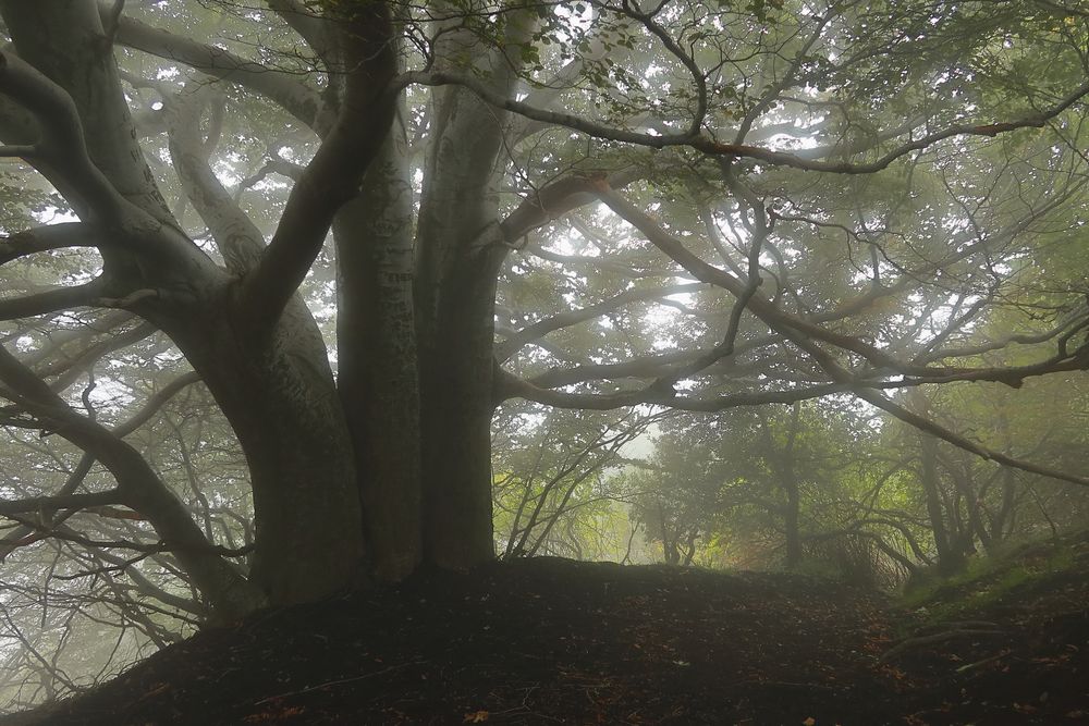 farblicher Weg in den Wolken...