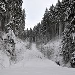 farblose Stille im norddeutschen Mittelgebirge 