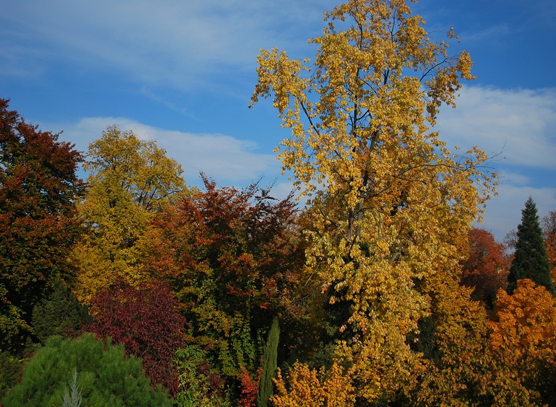 Farbpalette des Herbstes