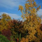 Farbpalette des Herbstes