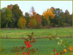 Farbpalette in der Eifel