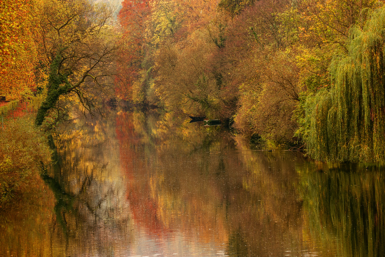 Farbrausch am Neckar