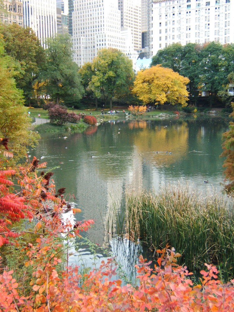 Farbrausch im Central Park