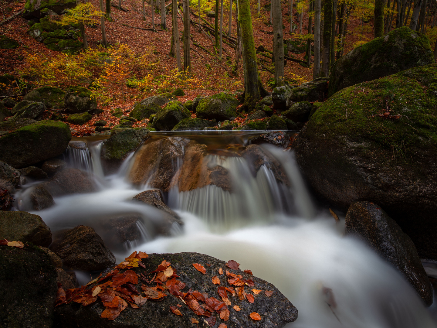 Farbrauschen am Wildbach