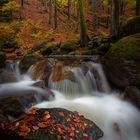 Farbrauschen am Wildbach