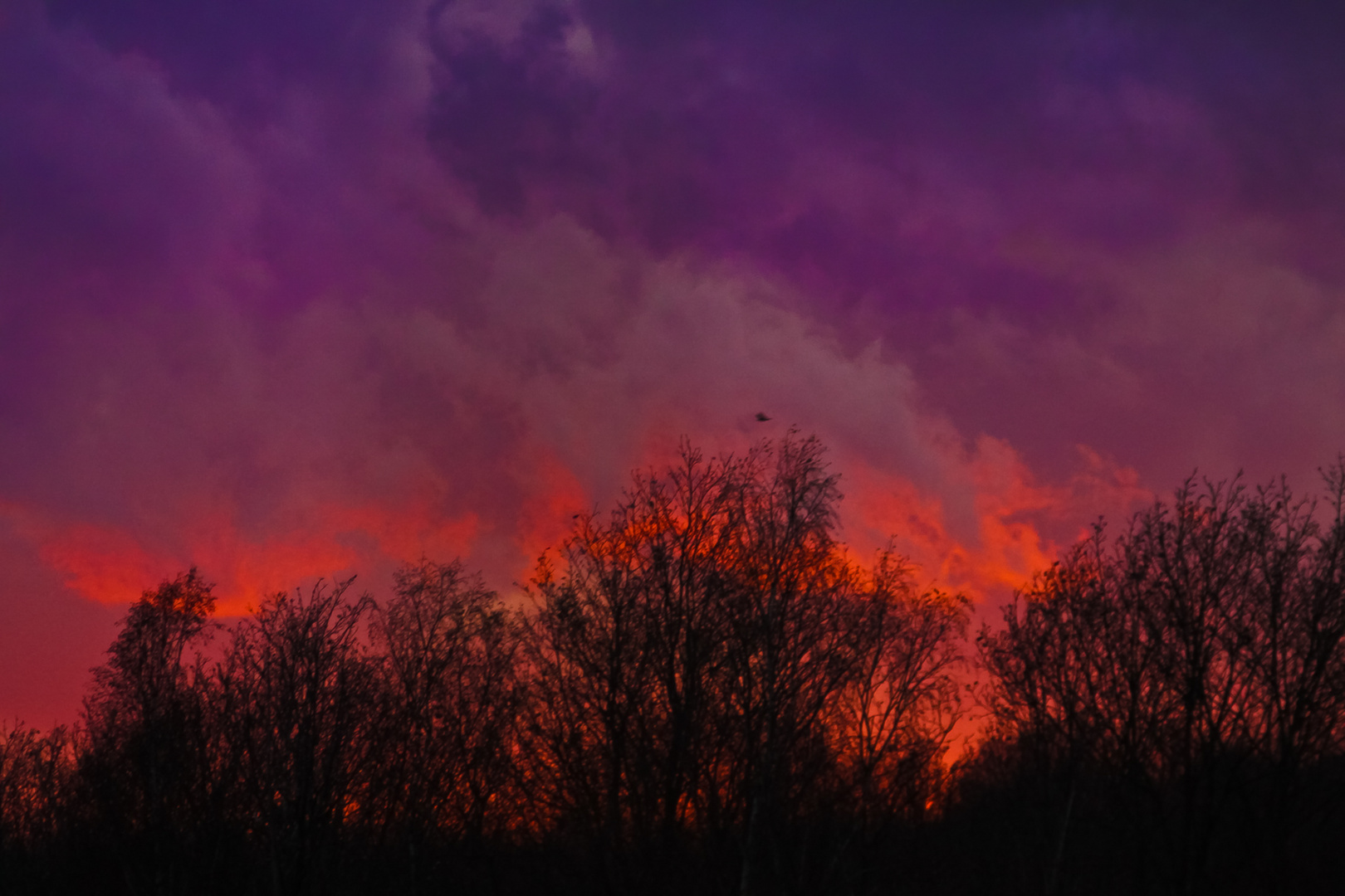 Farbspiel am Himmel nach Sonnenuntergang