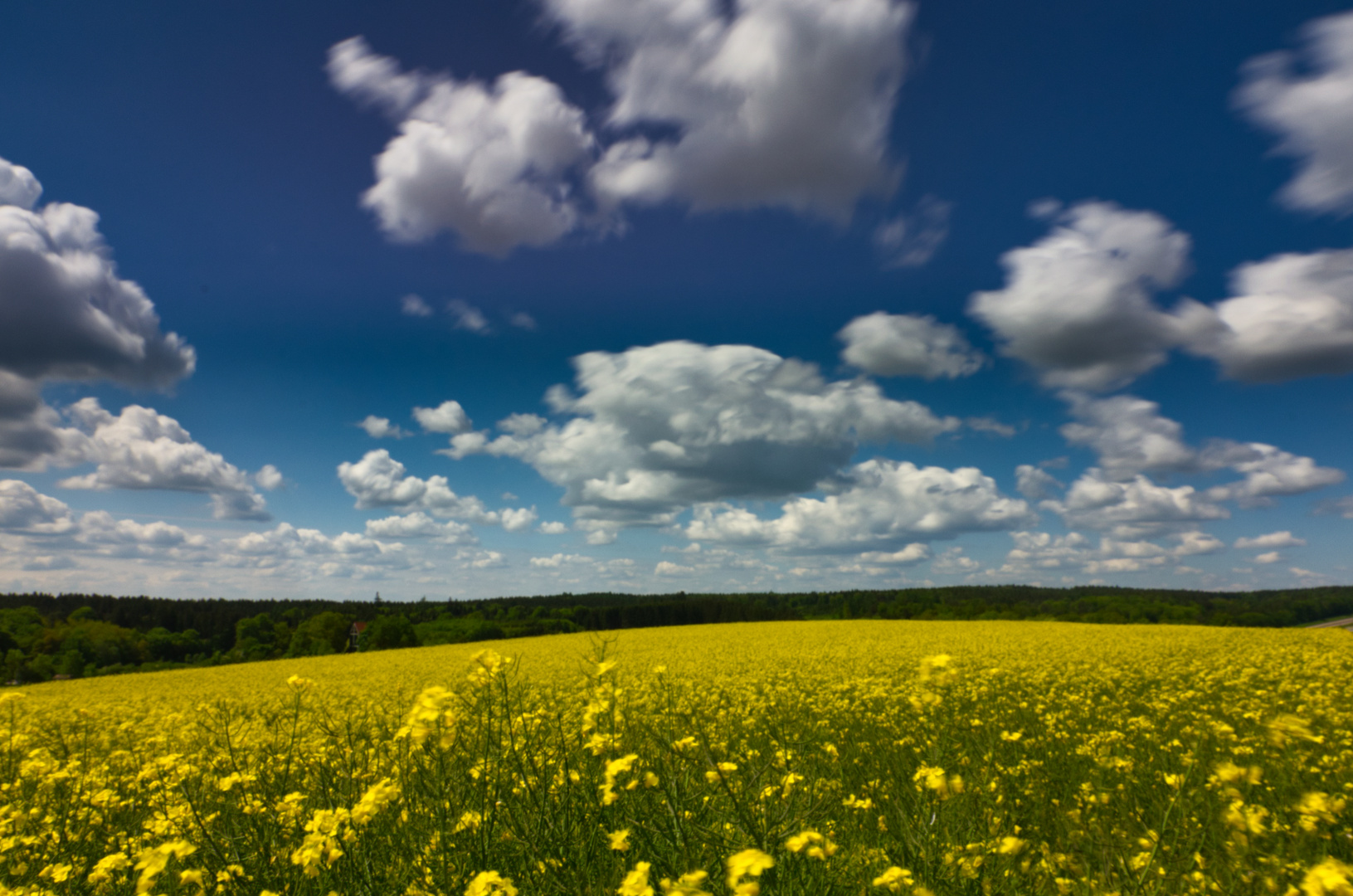 Farbspiel der Natur