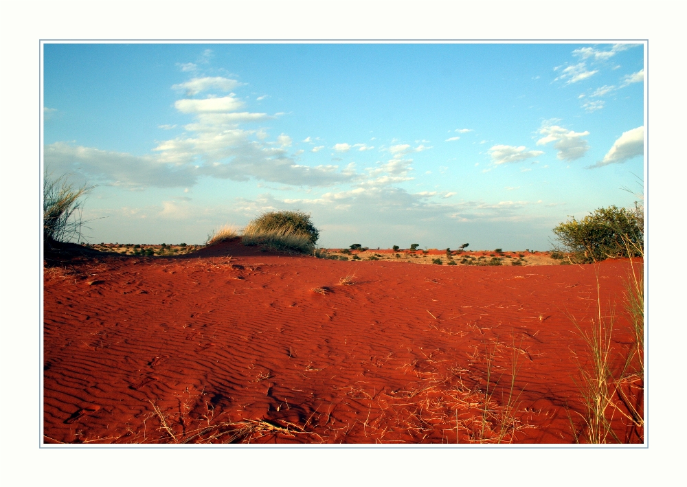 Farbspiel der Natur - Kalahari