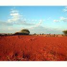 Farbspiel der Natur - Kalahari