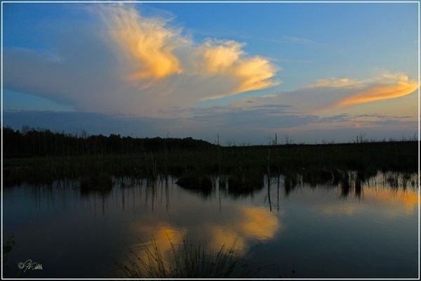 " Farbspiel "  Dienstag Spiegeltag  10.12.2019
