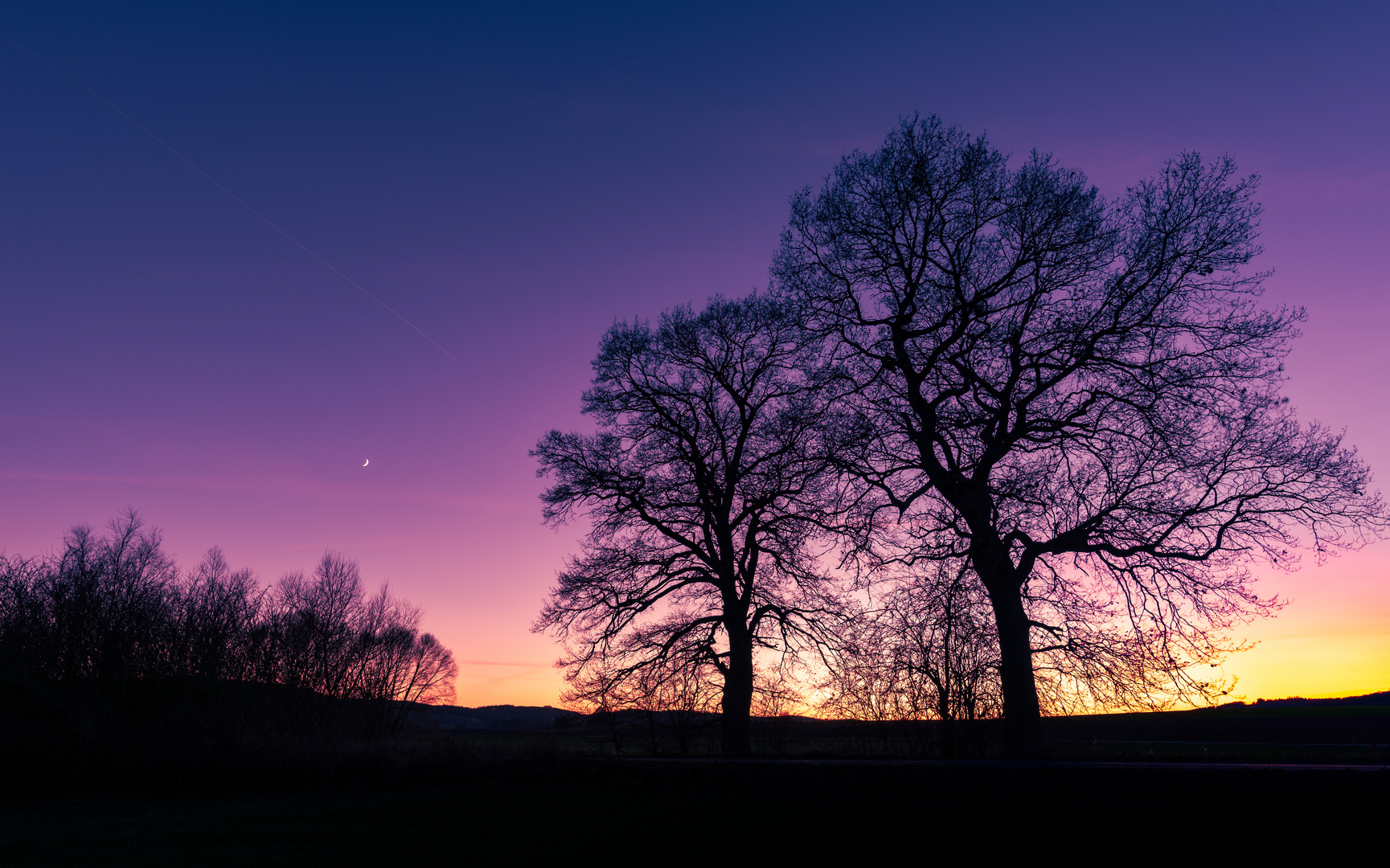 Farbspiel und Silhouette