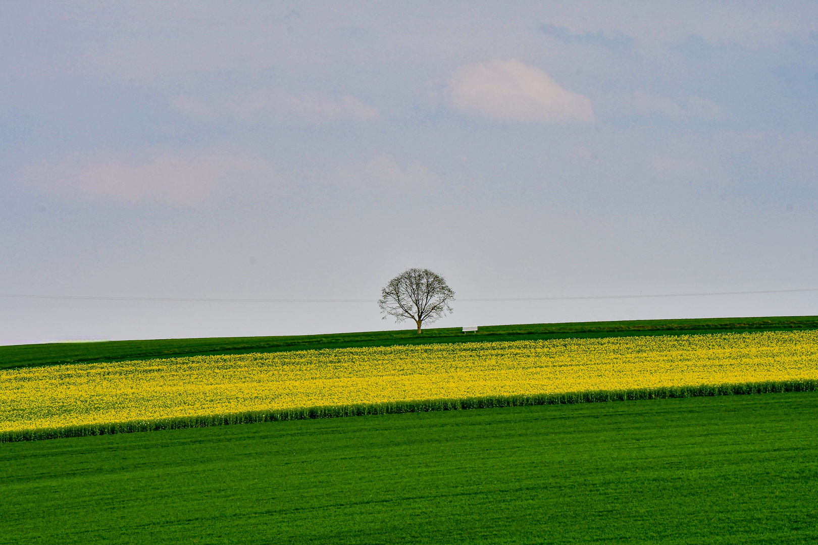 Farbspiele im Frühling