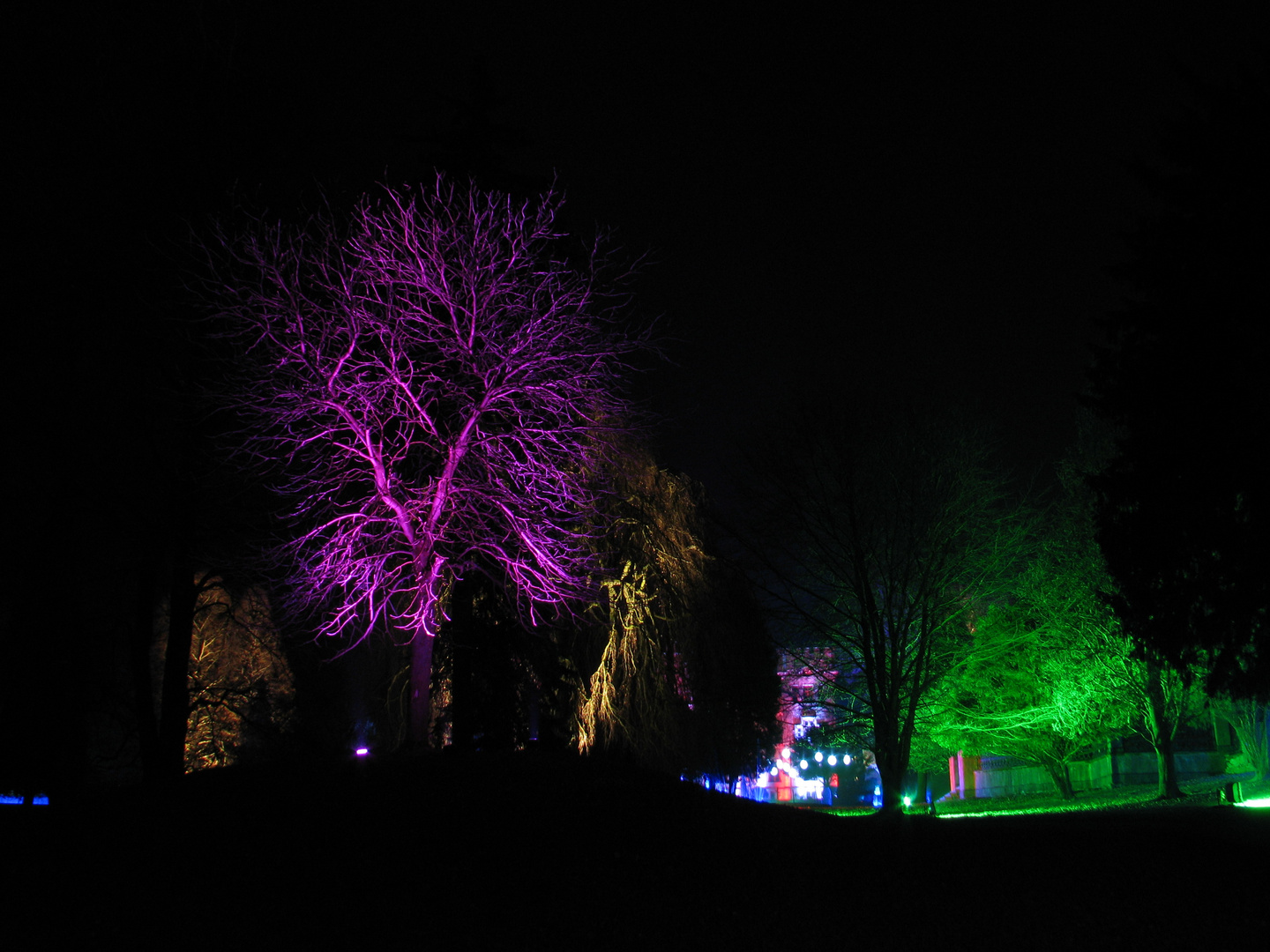 Farbspiele im Schlosspark