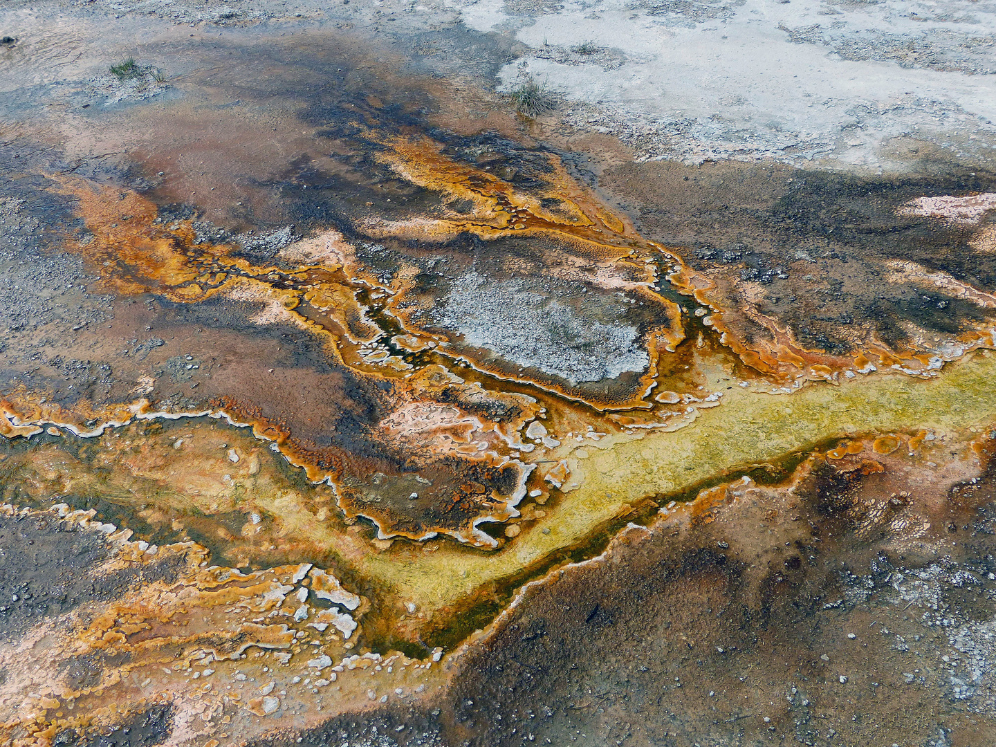 Farbspiele im Yellowstone National Park