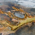 Farbspiele im Yellowstone National Park