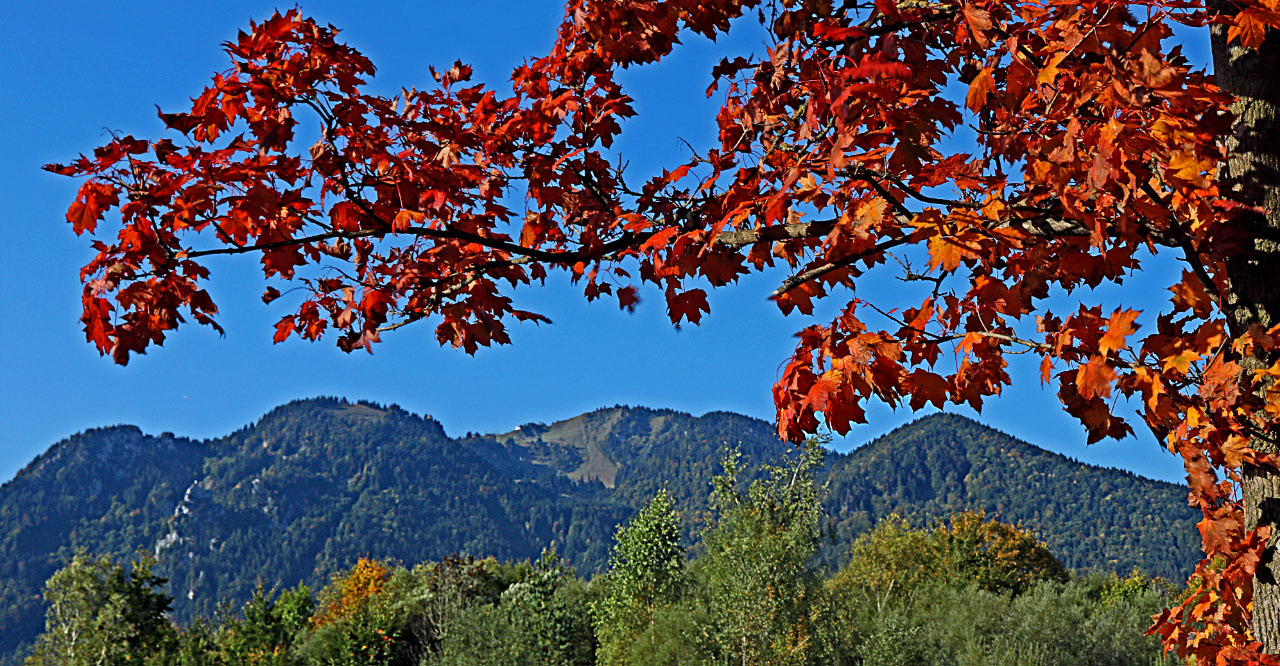 Farbspiele zu Herbstbeginn