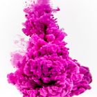 Farbsplash magenta