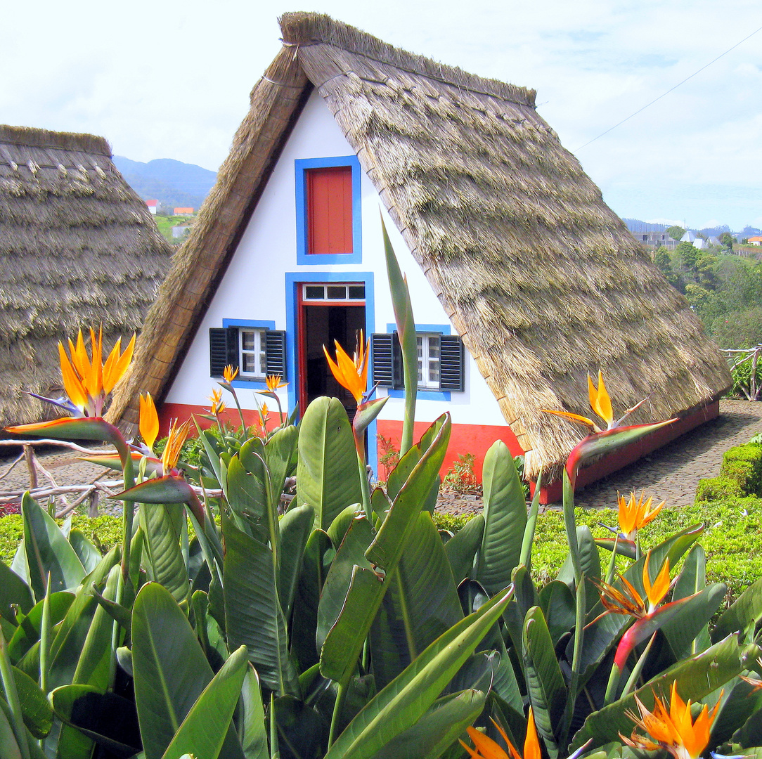 Farbtourismus auf Madeira