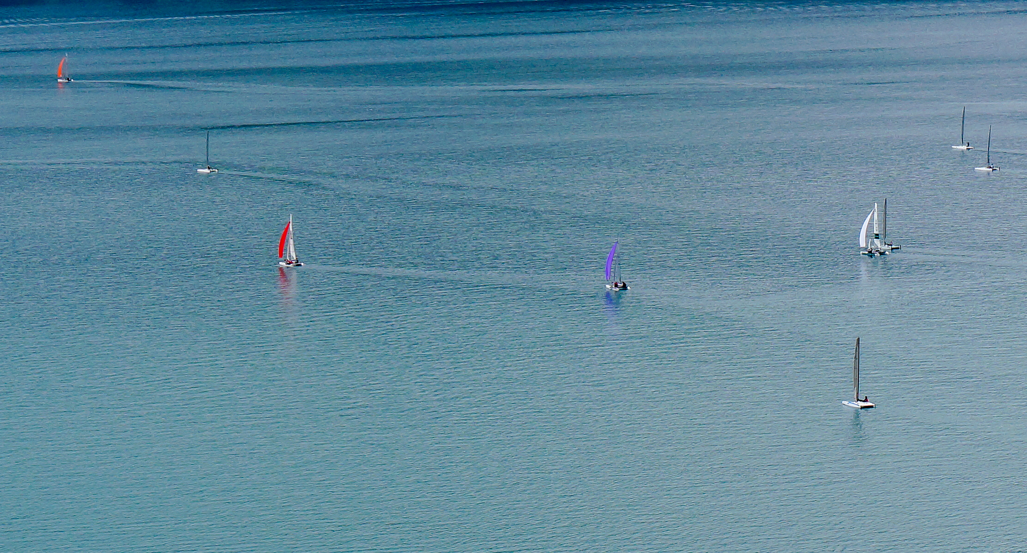 Farbtupfer auf dem Thunersee