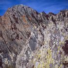 Farbtupfer auf Felsen