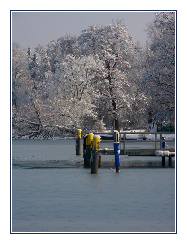 ... Farbtupfer im Eisgrau ...