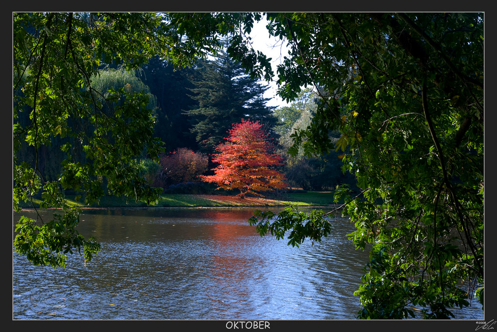 Farbtupfer im Herbst - Karlsaue / Kassel