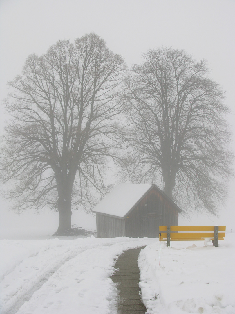 Farbtupfer im Nebel