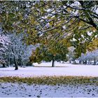 Farbtupfer im Schnee