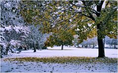 Farbtupfer im Schnee