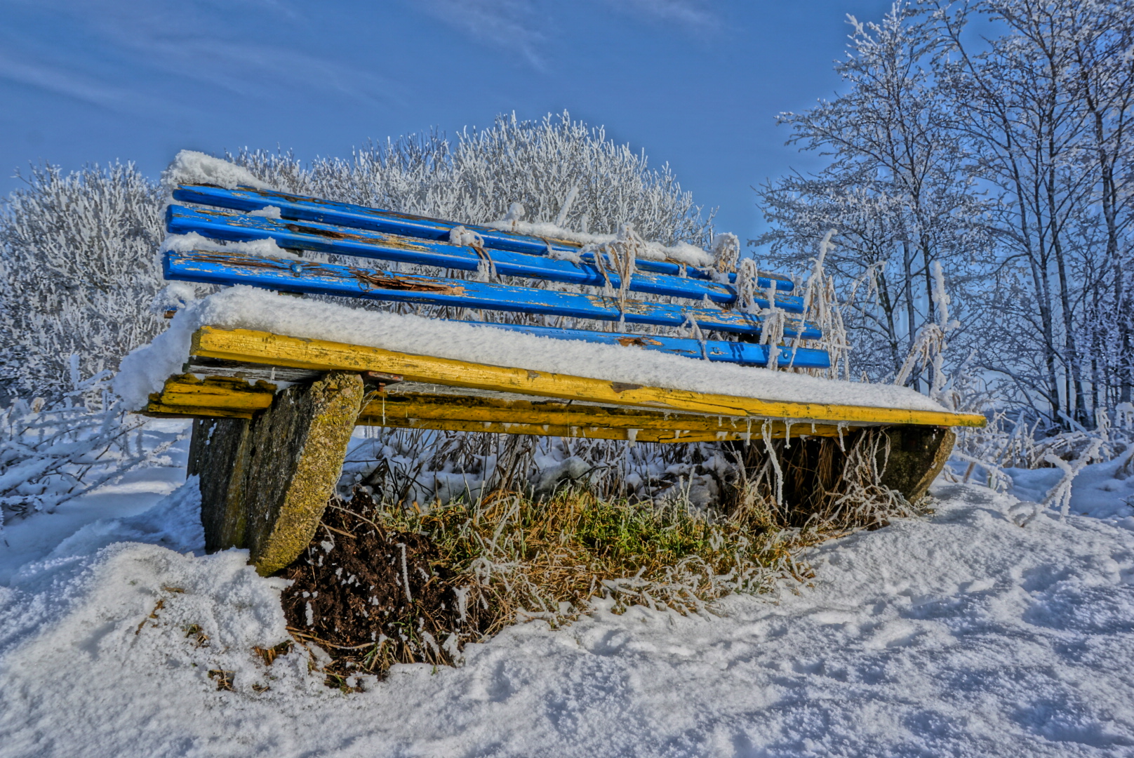 Farbtupfer im Schnee