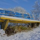 Farbtupfer im Schnee