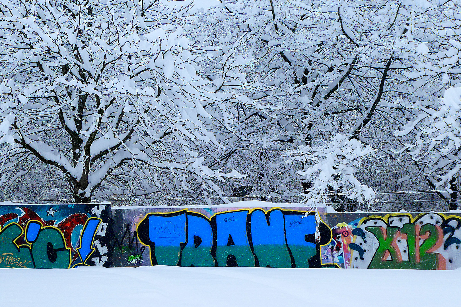 Farbtupfer im Schnee